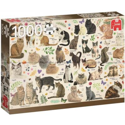 Katteplakat, 1000 brikker