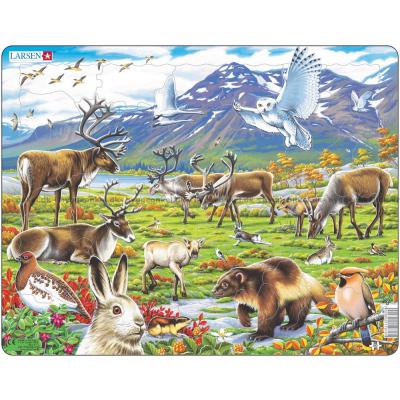 Arktiske dyr - Rammepuslespill, 50 brikker