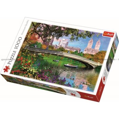 Daviosn: Central Park i New York, 1000 brikker
