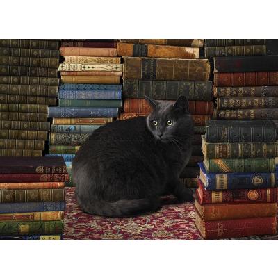 Katten på biblioteket, 1000 brikker