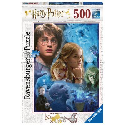 Harry Potter: Collage, 500 brikker