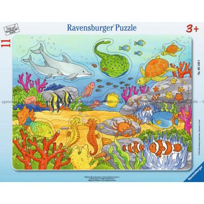Havets glade skapninger - Rammepuslespill, 11 brikker