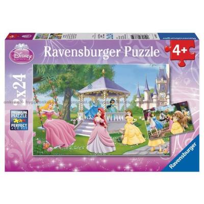 Disney-prinsesser, 2x24 brikker