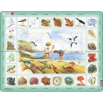 På stranden - Rammepuslespill, 48 brikker