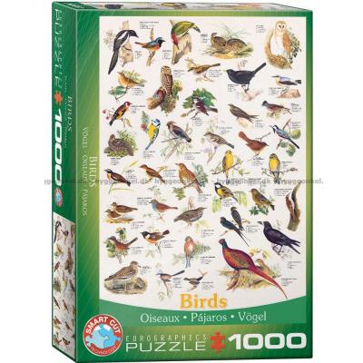 Fugler, 1000 brikker
