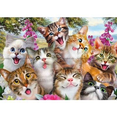 Bilde av Robinson: Selfie - Katter, 500 brikker