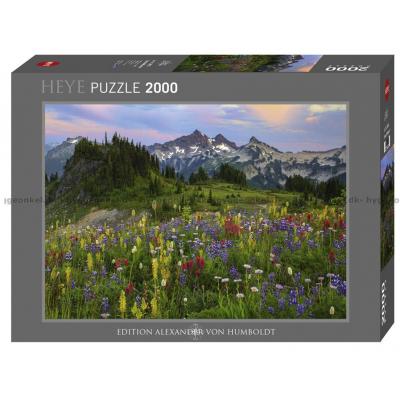 Humboldt: Tatoosh-fjellene, 2000 brikker