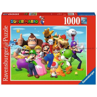 Super Mario og vennene hans, 1000 brikker