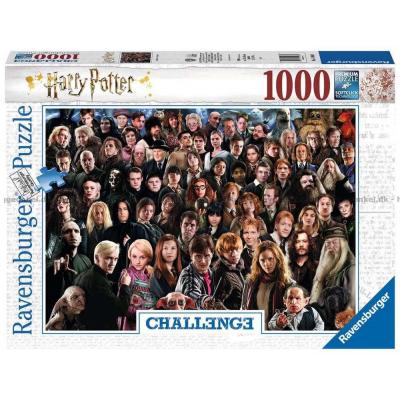 Harry Potter: Ansikter, 1000 brikker