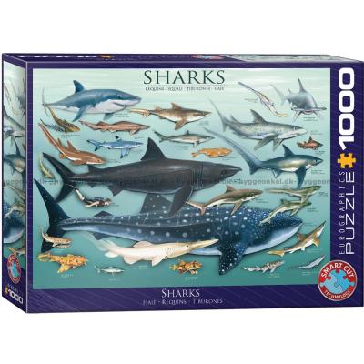 Haier, 1000 brikker