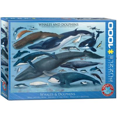 Hvaler og delfiner, 1000 brikker