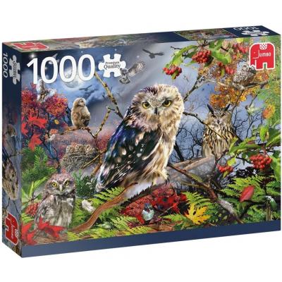 Ugler i måneskinn, 1000 brikker