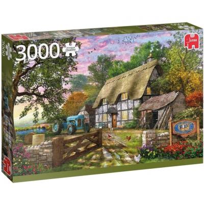 Davison: Bondens landsbyhus, 3000 brikker