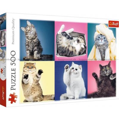 Collage: Herlige katter, 500 brikker