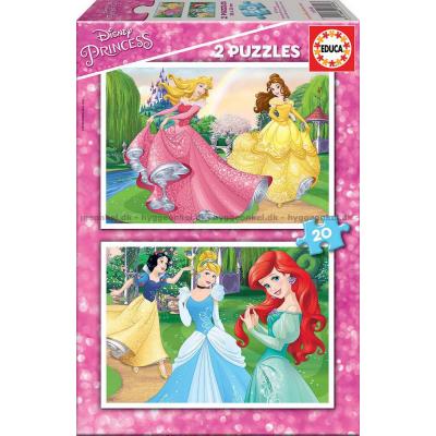 Disney-prinsesser, 2x20 brikker