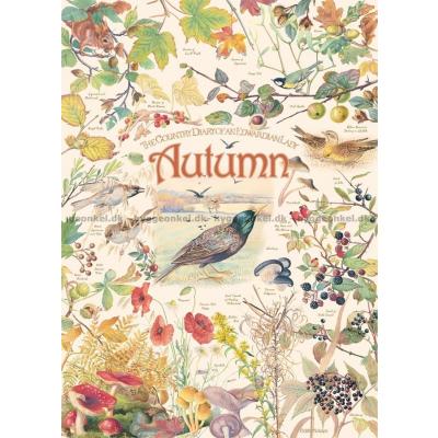 Bilde av Holden: Country Diary -  Autumn, 1000 brikker