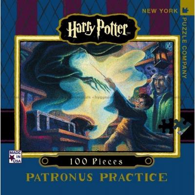 Harry Potter: Skytsverge-trening, 100 brikker