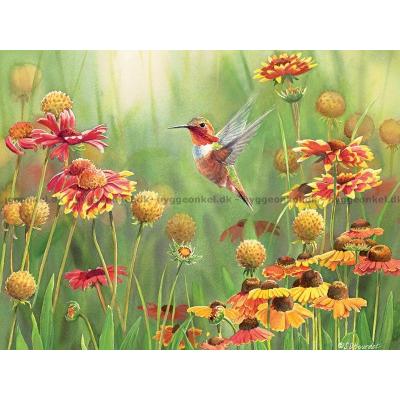 Bilde av Bourdet: Kolibri blant blomster, 500 brikker