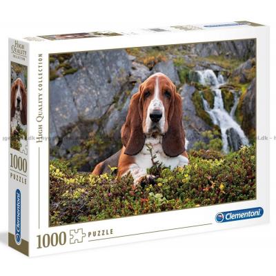 Hunden i fjellene, 1000 brikker