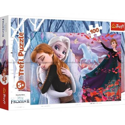 Disney: Frost 2 - Sammen for alltid, 100 brikker