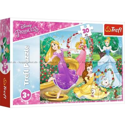 Disney-prinsesser: I hagen, 30 brikker