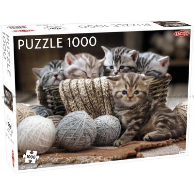 Herlige lekne kattunger, 1000 brikker