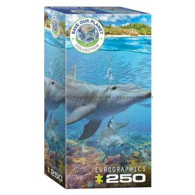 Redd planeten: Delfiner, 250 brikker
