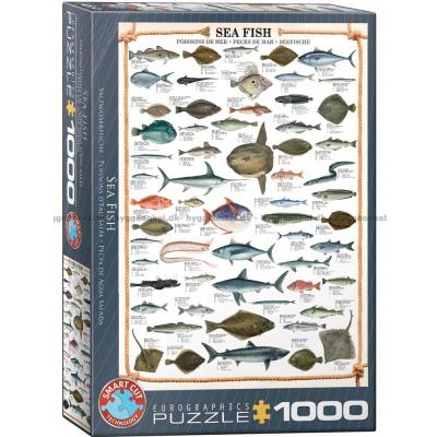 Fisk i havet, 1000 brikker