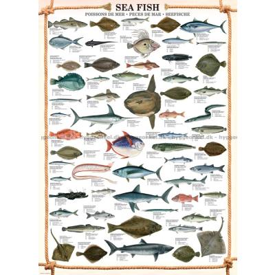 Bilde av Fisk i havet, 1000 brikker