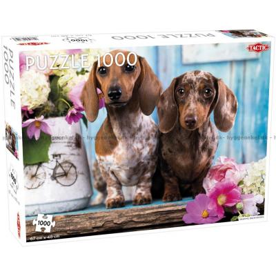 Dachshunder, 1000 brikker