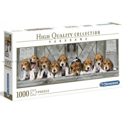 Beagles - Panorama, 1000 brikker