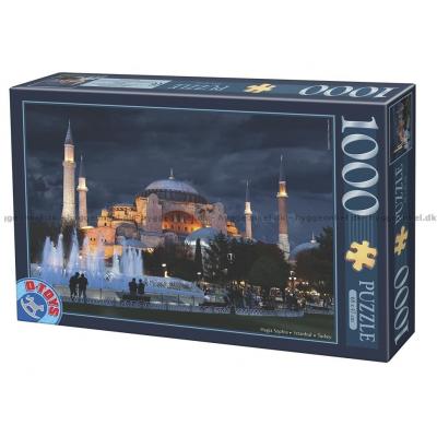 Tyrkia: Hagia Sophia, Istanbul, 1000 brikker