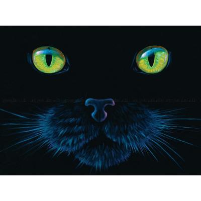 Bragg: En svart katt, 1000 brikker