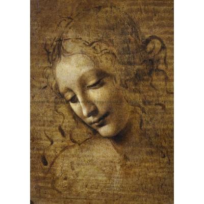 Bilde av Da Vinci: La Scapigliata, 1000 brikker