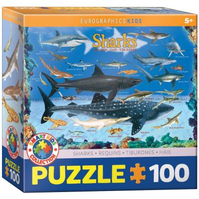 Haier, 100 brikker