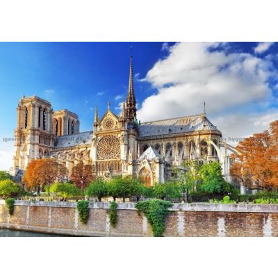 Notre Dame, Paris, 2000 brikker
