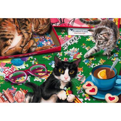 Bilde av McIntyre: Kattene legger puslespill, 1000 brikker