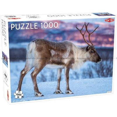 Reinsdyret, 1000 brikker