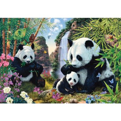 Bilde av Read: Pandaene ved fossen, 500 brikker