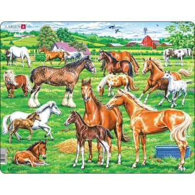 Nydelige hester av forskjellige racer - Rammespuslespill, 33 brikker