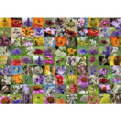 Bilde av 99 blomster og bier, 1000 brikker