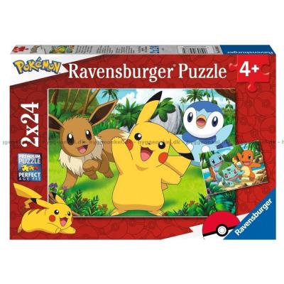 Pokemon, 2x24 brikker