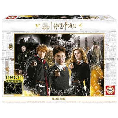 Harry Potter- Lyser i mørket, 1000 brikker