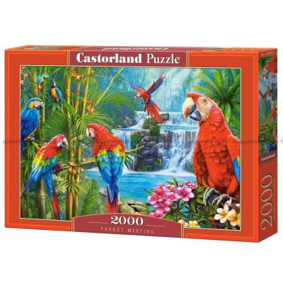 Fargerike papegøyer, 2000 brikker