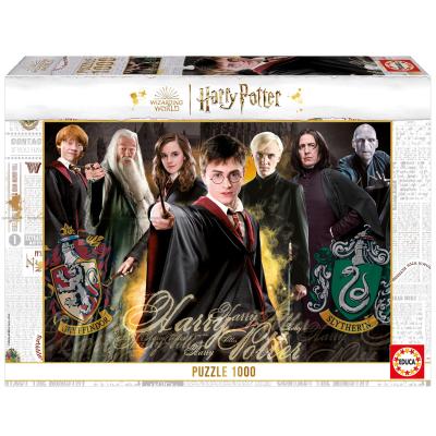 Harry Potter og Noldus, 1000 brikker