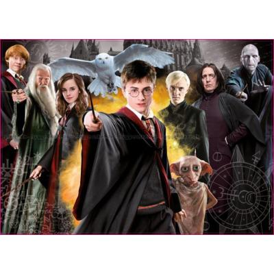 Bilde av Harry Potter og Noldus, 1000 brikker