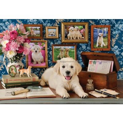 Bilde av Cuddiford: Labrador, 500 brikker