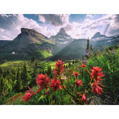 Bilde av Hefele: USA - Glacier National Park, Montana, 2000 brikker