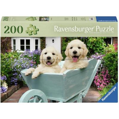Cuddiford: Golden Retriever, 200 brikker