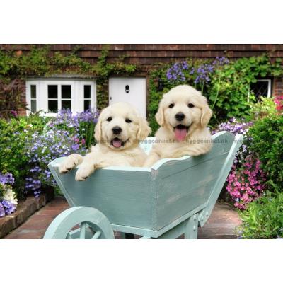 Bilde av Cuddiford: Golden Retriever, 200 brikker